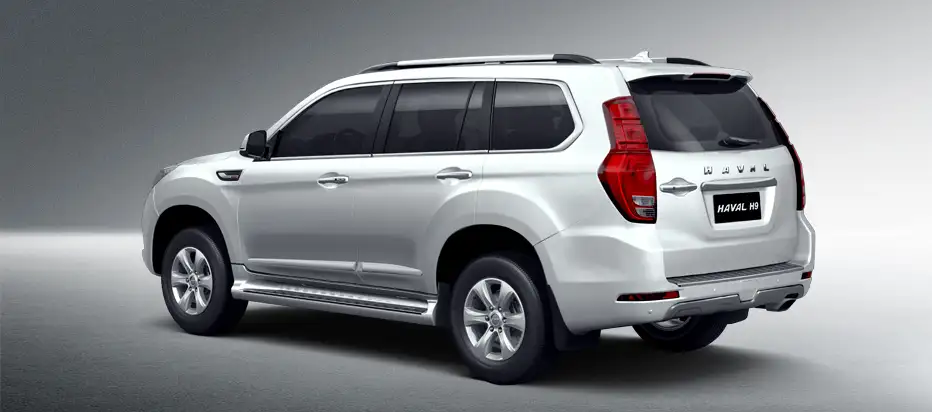 2022 Haval H9 Super Dignity - view 5