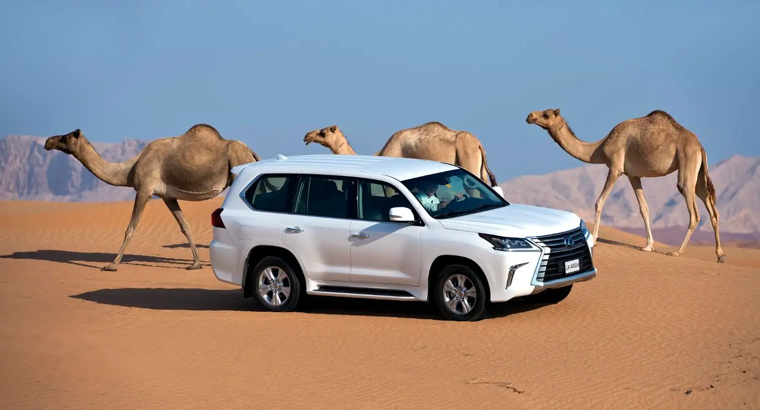 Lexus LX