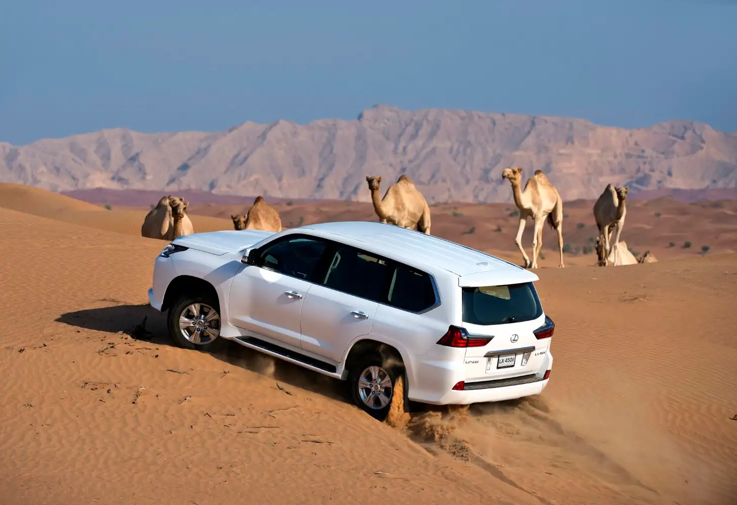 Lexus LX