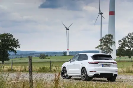 Porsche Cayenne Base Trim - Image 2